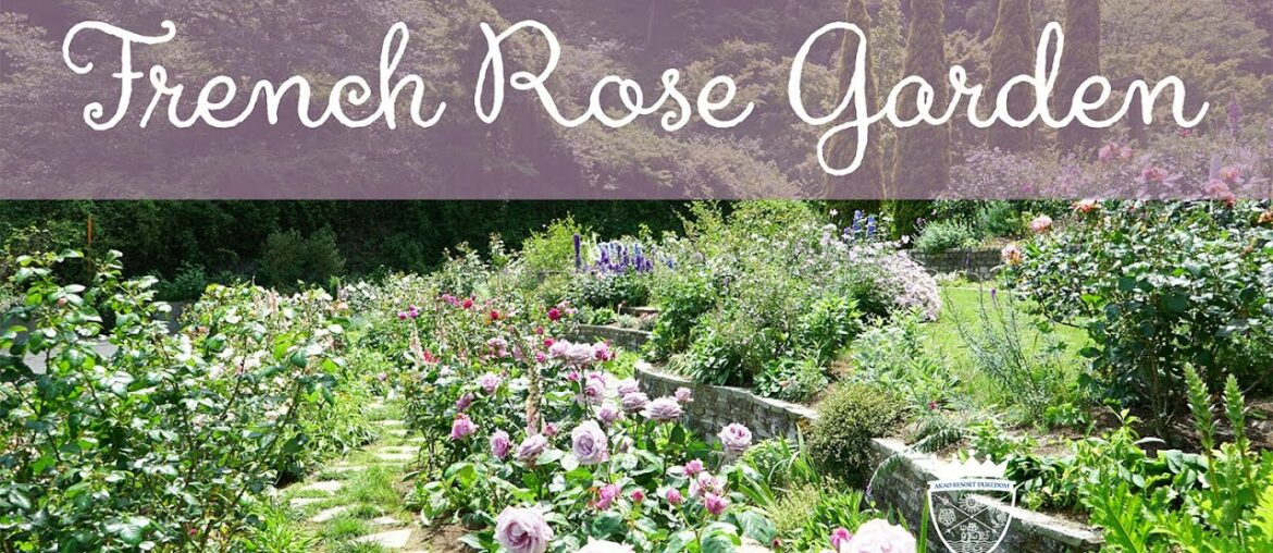 French Rose Garden 20200520 アカオハーブ＆ローズガーデン