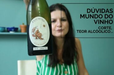 Vinho sem compromisso... Respondendo dúvidas! | Marcia Anholeti