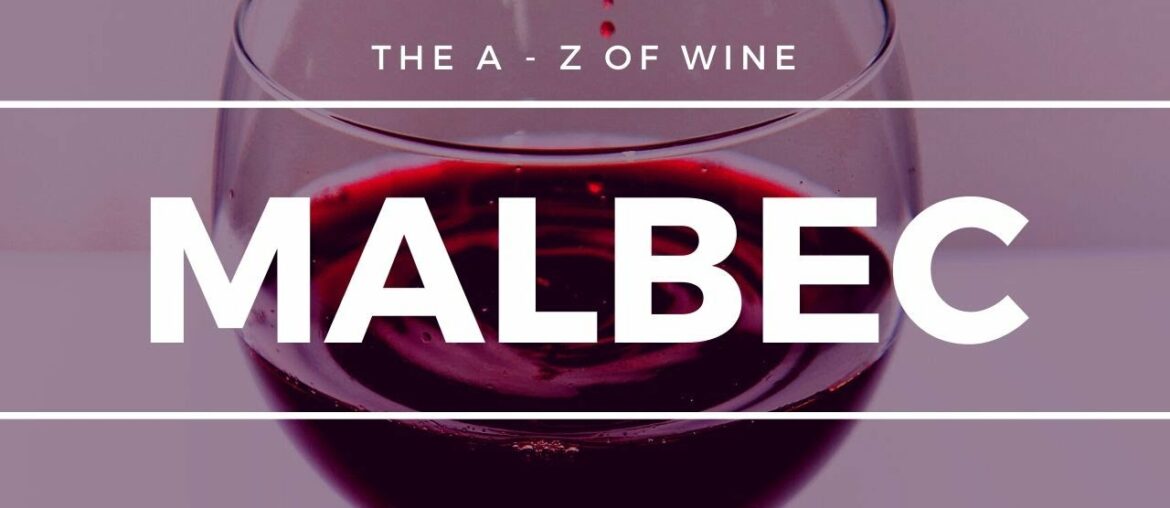 What is MALBEC - What you need to know about this popular grape.
