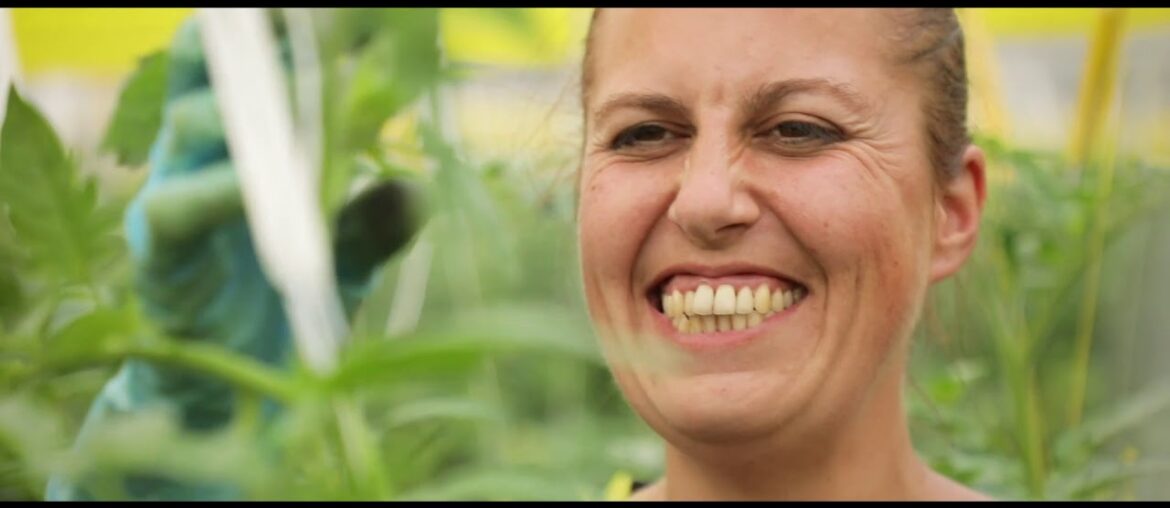 CHAMPAGNE CREATION_LEGUME DE FRANCE