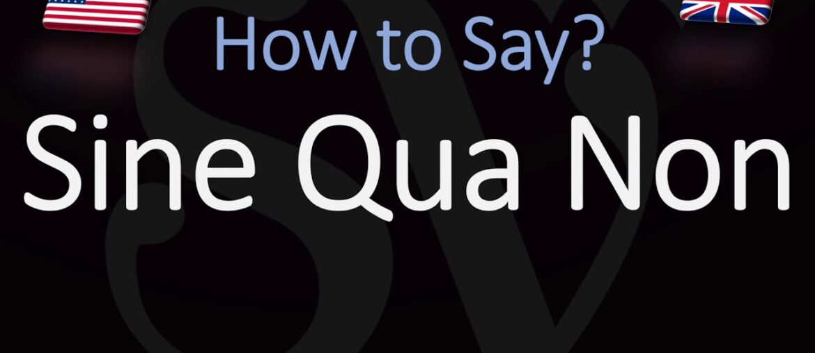 How to Pronounce Sine Qua Non? (CORRECTLY) How to Pronounce Sine Qua Non? (CORRECTLY)
