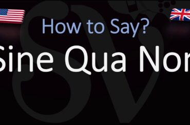 How to Pronounce Sine Qua Non? (CORRECTLY)