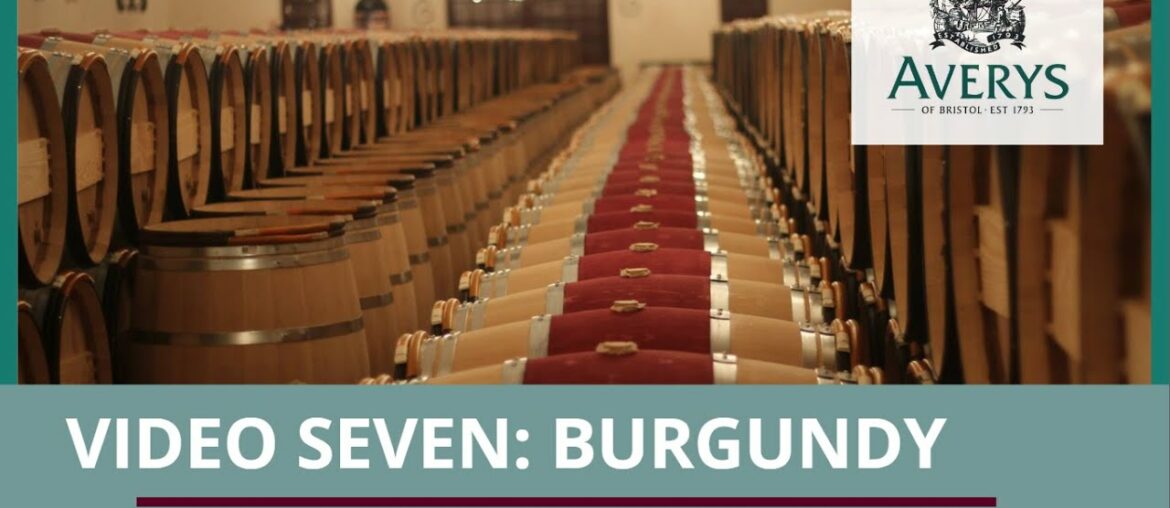 7. Wines of Burgundy – Averys at Home Taste-Along Videos 7. Wines of Burgundy - Averys at Home Taste-Along Videos
