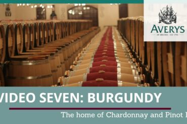 7. Wines of Burgundy - Averys at Home Taste-Along Videos