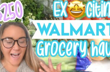 $250 WALMART GROCERY HAUL | 20K SUBSCRIBERS! 🎉