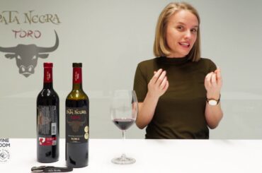 GARCIA CARRION Wine Room - Pata Negra Toro (English)