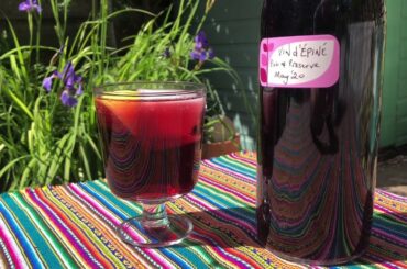 Pick & Preserve #5B - Vin (Rouge) d’Epine