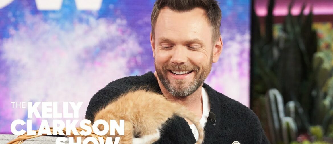 Kittens Crash Wine-Filled Interview With Joel McHale Kittens Crash Wine-Filled Interview With Joel McHale