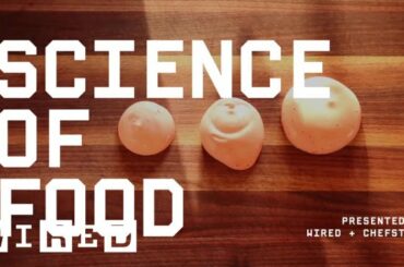 How to Make Super-Classy Culinary Foam, Even if You Aren’t Classy | Science of Food