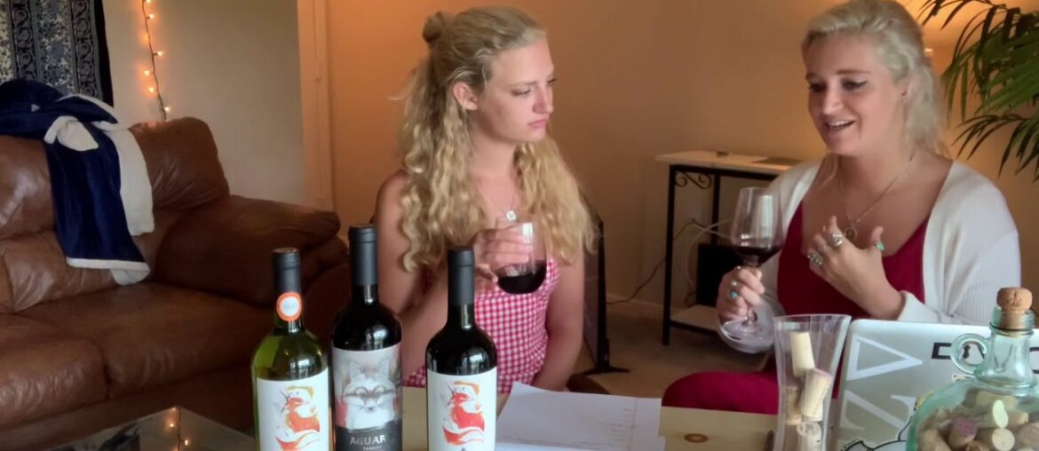 Part 4 Wine Tasting "Tannat Art Collection" Wine - A.