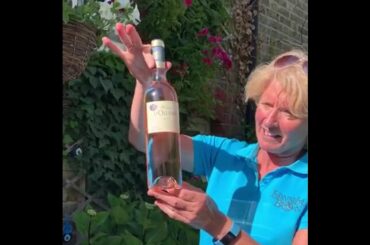 Great wine choices - Chateau d'Ollieres, France