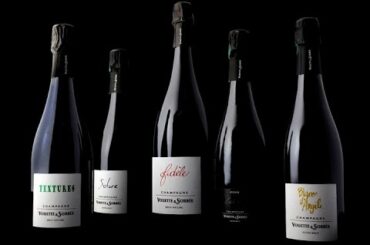 Wine Berserkers Zoom Video Session with Bertrand Gautherot of Vouette et Sorbee