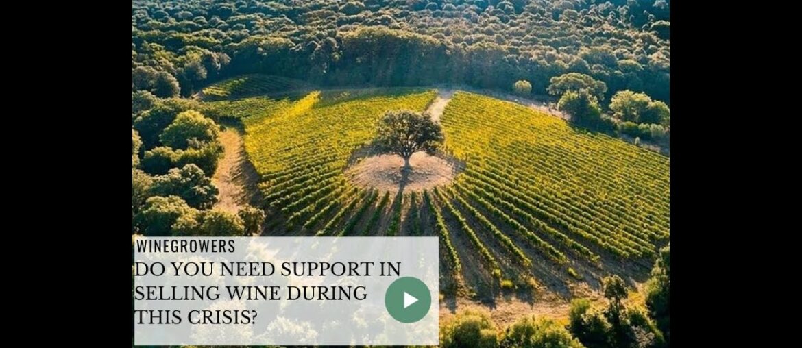 🍷Do you need support in selling wine during this crisis? 🍷Do you need support in selling wine during this crisis?