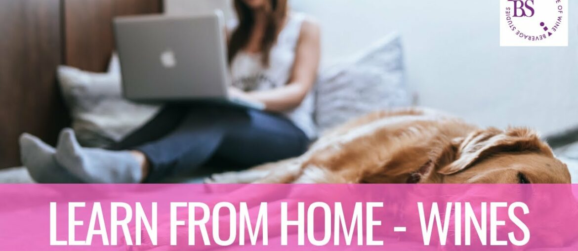 Learn From Home Wines – Online Learning Program Learn From Home Wines - Online Learning Program