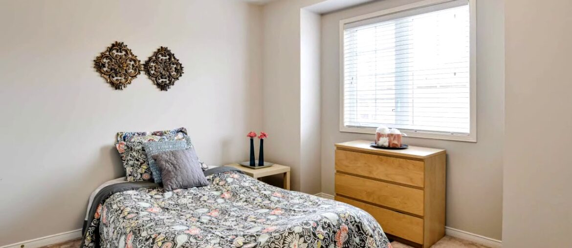 6 Commodore Drive, Brampton 6 Commodore Drive, Brampton