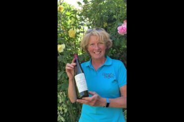 Great wine choices - Pierre Frick Riesling Grand Cru Steinert 2014, France