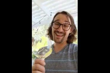 Louis Jadot Pouilly Fuisse- Chardonnay Review