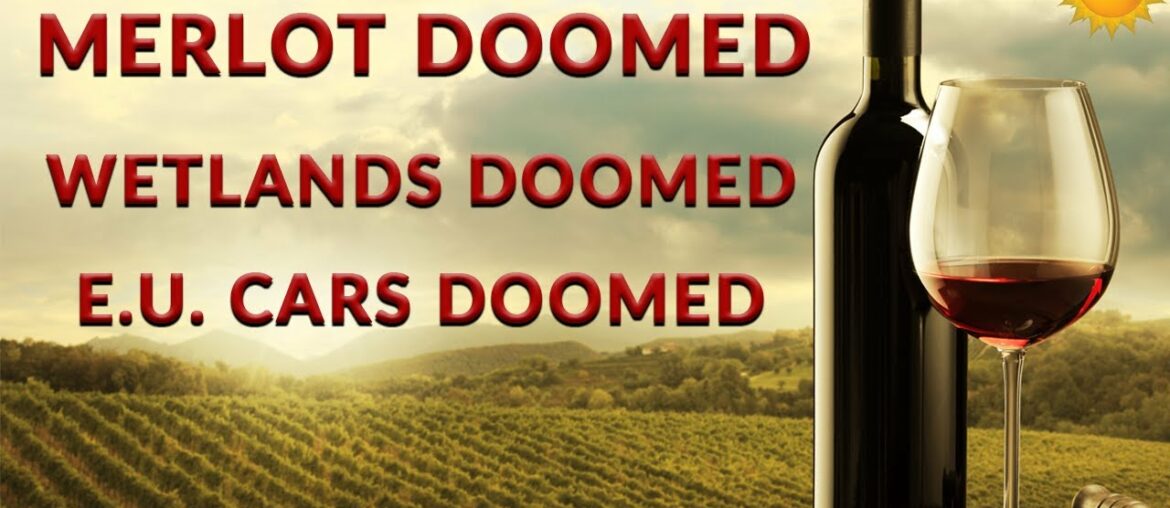 Of Merlot, Swamps and Rainfall – Newsletter Readout Of Merlot, Swamps and Rainfall - Newsletter Readout