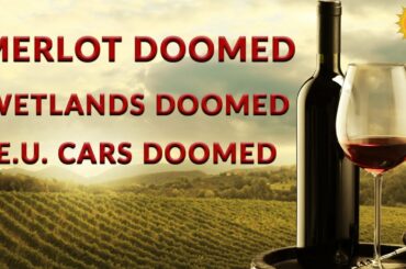 Of Merlot, Swamps and Rainfall - Newsletter Readout