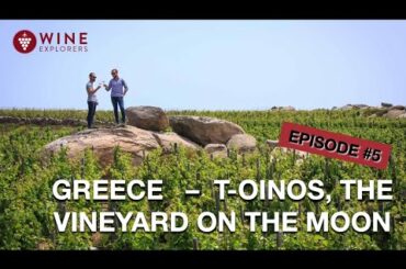 T-OINOS, THE VINEYARD ON THE MOON | GREECE | WINE EXPLORERS