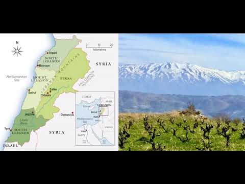 Ep 328: The Wines of Lebanon Ep 328: The Wines of Lebanon