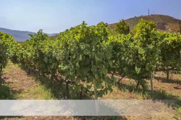 Winery, Kos, Greece - S_PHOTO location scouting and management