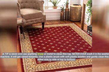 Review: Noble Palace Black French European Formal Traditional 5 Round ( 5'3" Round ) Area Rug E...