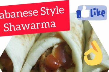 Easy Labanese Style Shawarma | French Fries and pita bread recipe included | Lebanon Style Shawarma|