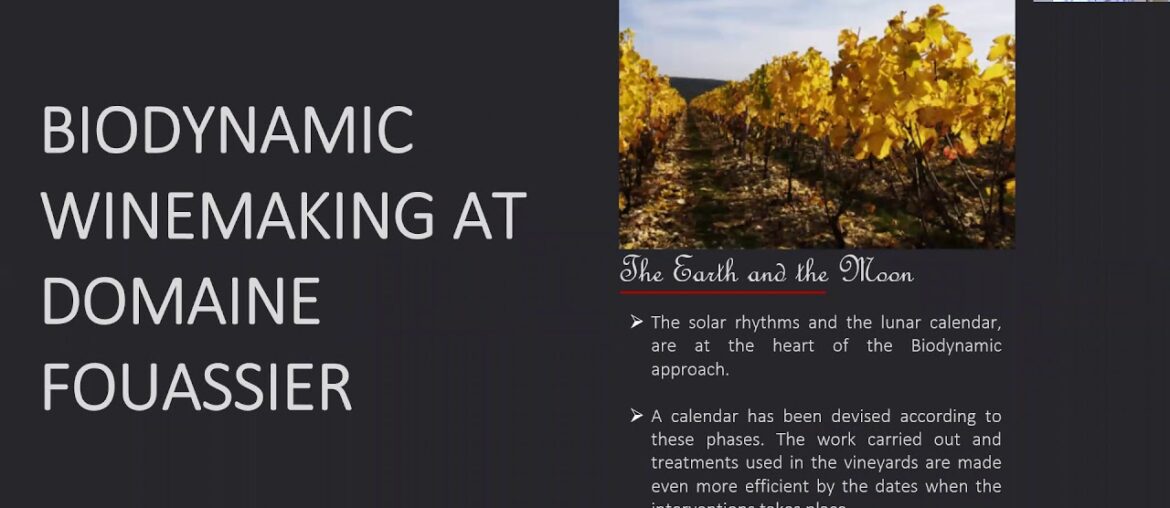 Domaine Fouassier & Domaine Roux Virtual Seminar