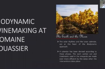 Domaine Fouassier & Domaine Roux Virtual Seminar