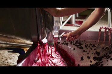 France to transform surplus wine into hand sanitiser