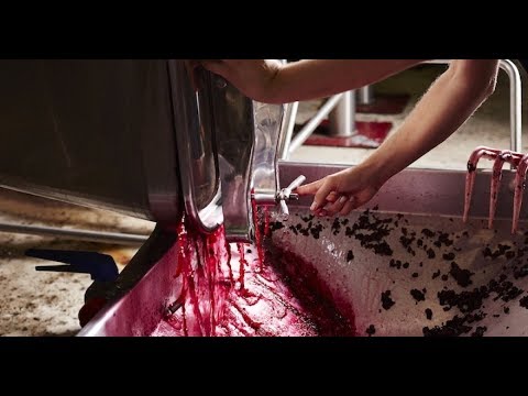 France to transform surplus wine into hand sanitiser France to transform surplus wine into hand sanitiser
