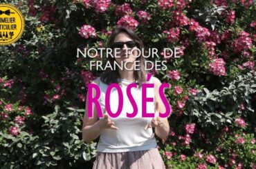 🚴‍♀️🇫🇷 Tour de France des Rosés