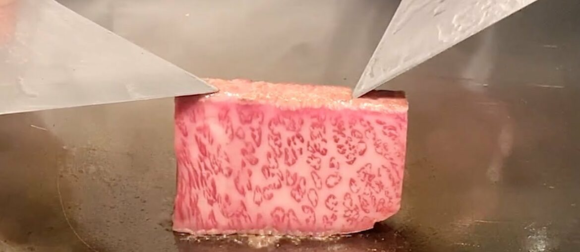 A5 Kuroge Wagyu French Teppanyaki in Kyoto フレンチ 鉄板焼き - 素福 (ソウフク) -  京都