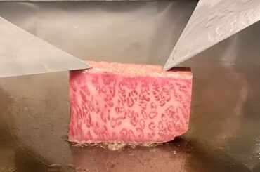 A5 Kuroge Wagyu French Teppanyaki in Kyoto フレンチ 鉄板焼き - 素福 (ソウフク) -  京都