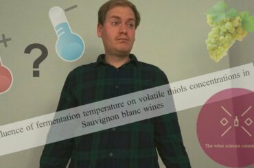 The influence of different fermentation temperatures on fruitiness in Sauvignon blanc wines