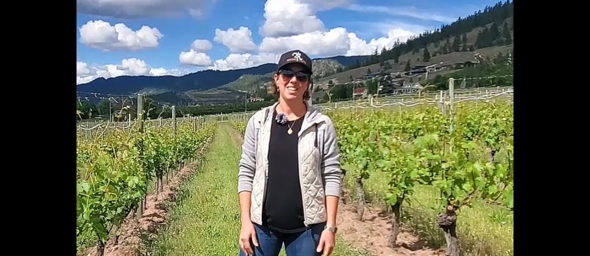 Roche Wines Vigneron Video Journal Episode 7