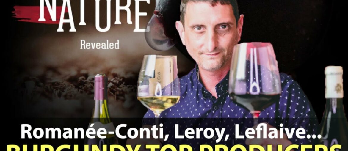 40 Iconic Burgundy Producers You Need to Know...