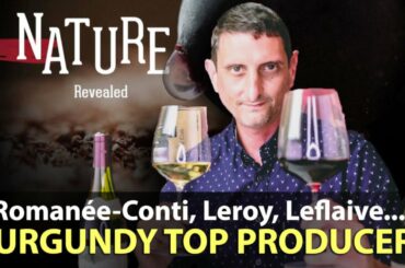 40 Iconic Burgundy Producers You Need to Know...