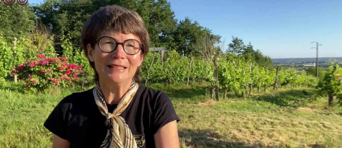 Introduction to Caro Feely Introduction to Caro Feely