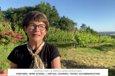 Introduction to Caro Feely