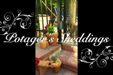 French Gardening "Potager's Sheddings"