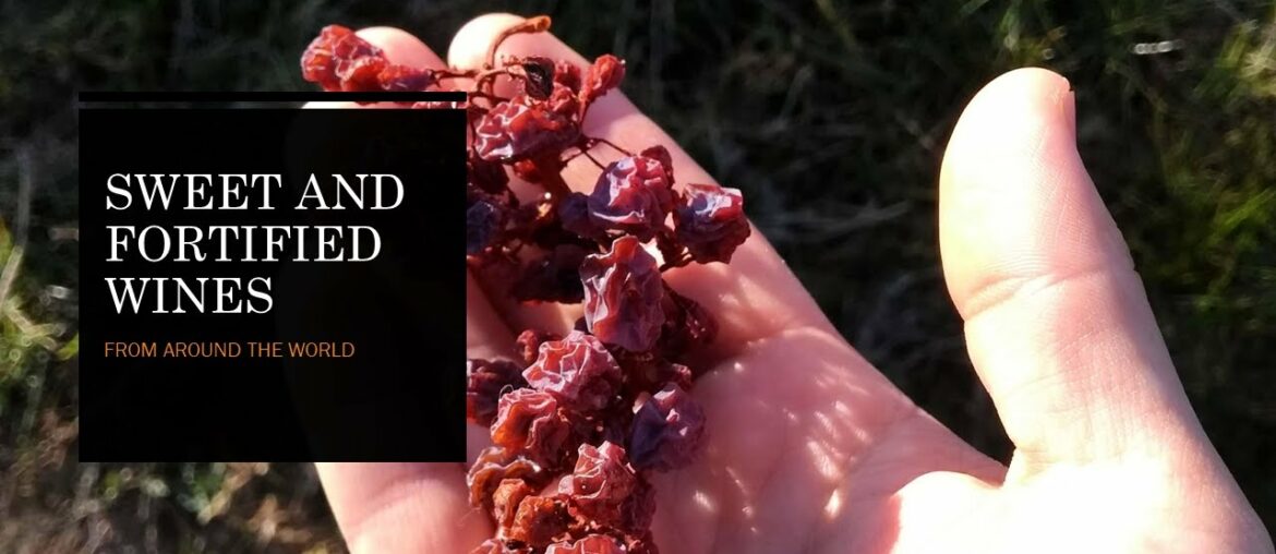 Wine Conversations #15 – Sweet and Fortified wines Wine Conversations #15 - Sweet and Fortified wines