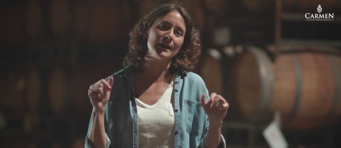 New Wine – Introducing Carmen Gran Reserva Cabernet Sauvignon, 2017 rated 97pts New Wine - Introducing Carmen Gran Reserva Cabernet Sauvignon, 2017 rated 97pts