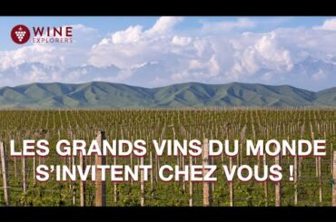 LES GRANDS VINS DU MONDE S'INVITENT CHEZ VOUS ! | WINE EXPLORERS