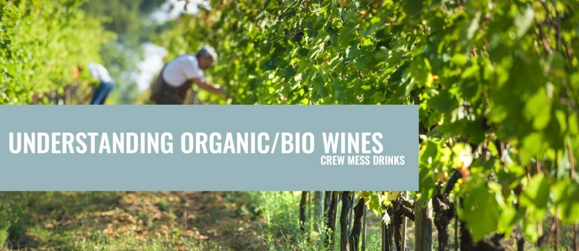 Understanding Organic/Bio Wines Understanding Organic/Bio Wines