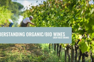 Understanding Organic/Bio Wines