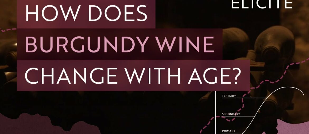 How Does Burgundy Wine Change With Age?