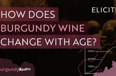How Does Burgundy Wine Change With Age?
