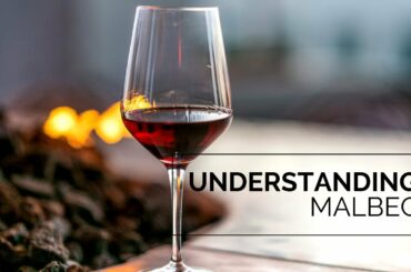 Understanding Malbec